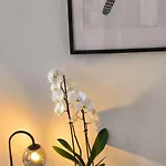 Appartement Sous Les Remparts Carcassonne