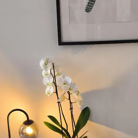 Διαμέρισμα Sous Les Remparts Καρκασόν