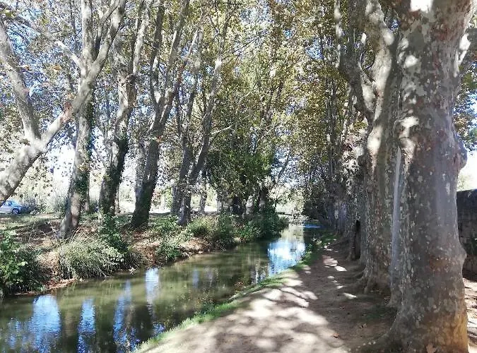 Sous Les Remparts カルカソンヌ