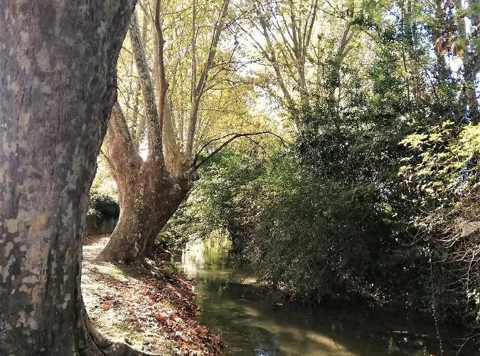 Sous Les Remparts カルカソンヌ