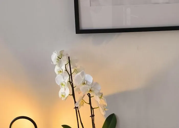 Apartment Sous Les Remparts Carcassonne